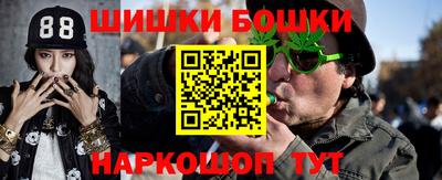 мдпв Лесосибирск