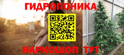 мдпв Лесосибирск