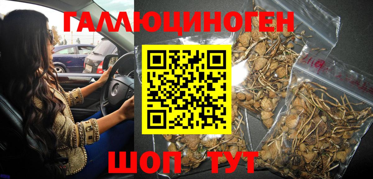 Псилоцибиновые грибы GOLDEN TEACHER  Галлюциногенные грибы ЛСД  Всеволожск  Вход с VPN 